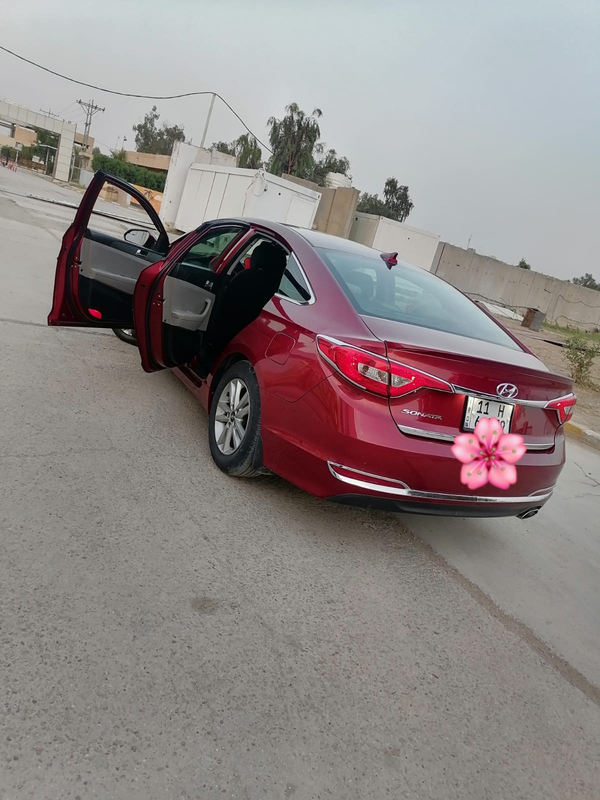 صورة 6