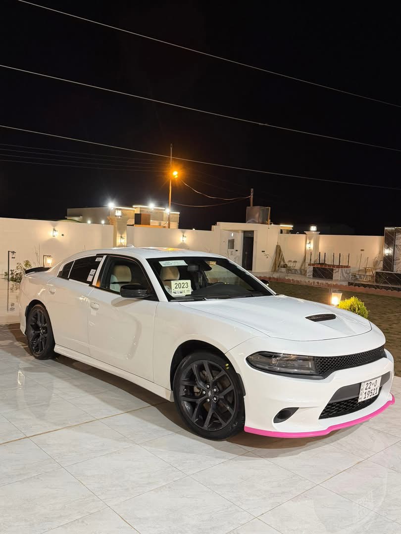 صورة 3