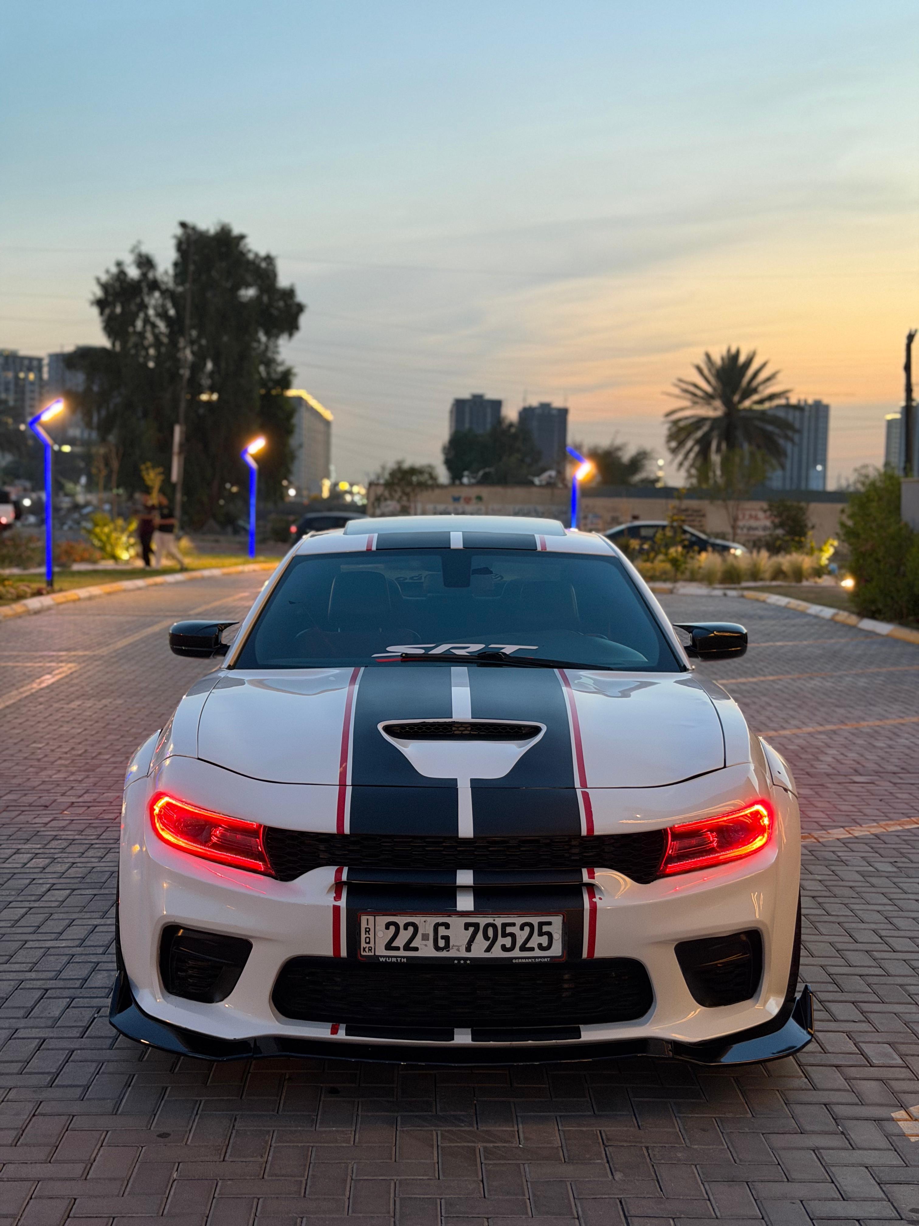 صورة 9