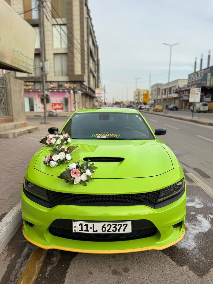صورة 4