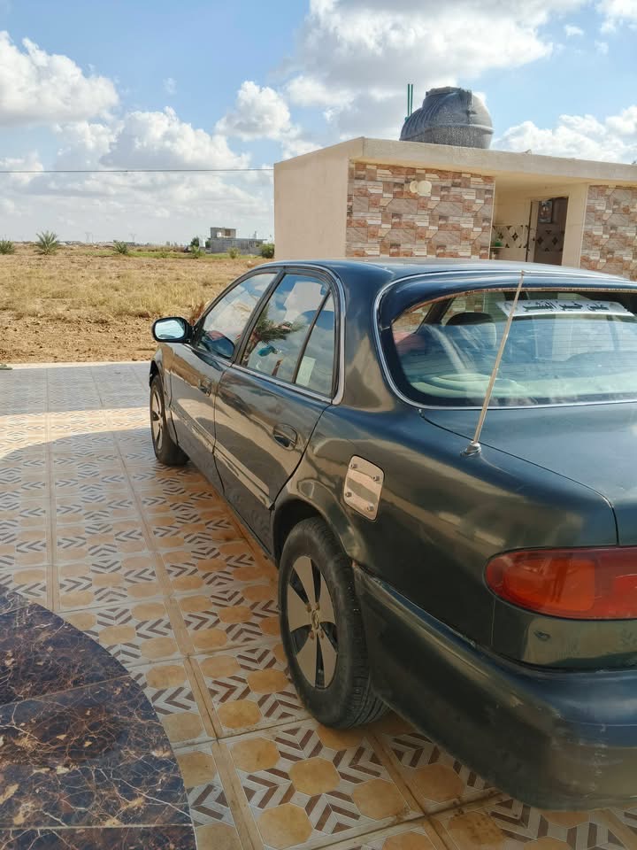 صورة 8