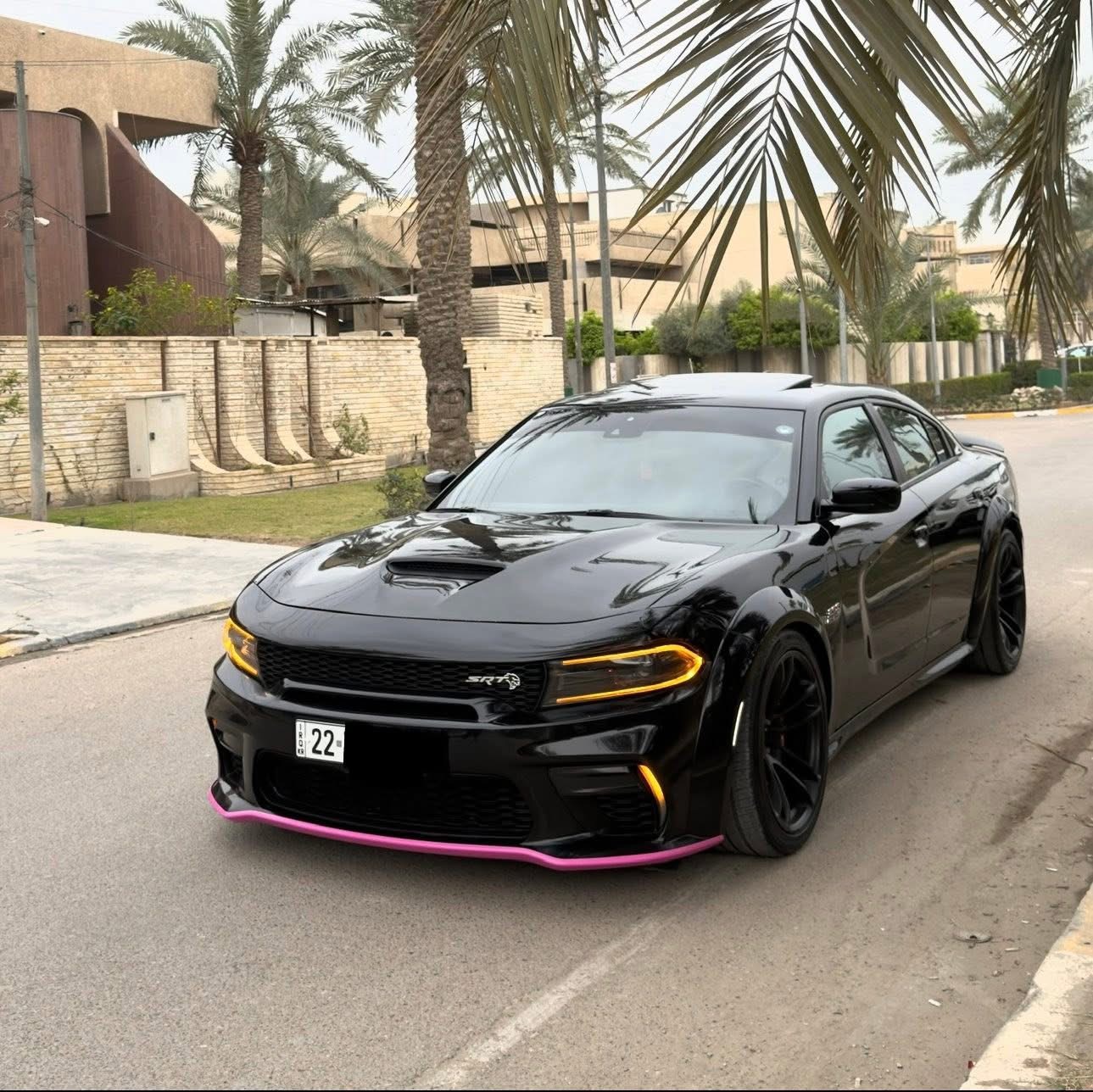 وێنەی 5