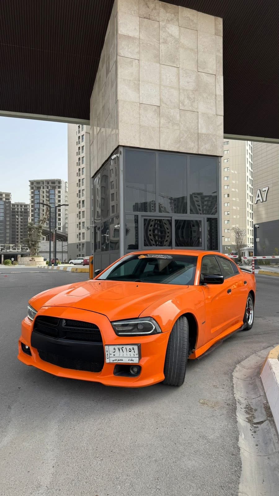 صورة 6